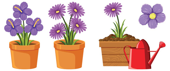 Wall Mural - Purple flower in pot on white background