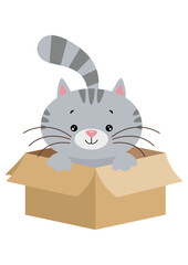 Sticker - Cute gray cat in cardboard box