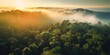 AI Generated. AI Generative. Beautiful green amazon forest landscape at sunset sunrise. Adventure explore air dron view vibe. Graphic Art