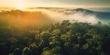 Fototapeta Las - AI Generated. AI Generative. Beautiful green amazon forest landscape at sunset sunrise. Adventure explore air dron view vibe. Graphic Art