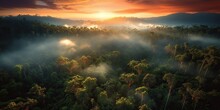 AI Generated. AI Generative. Beautiful Green Amazon Forest Landscape At Sunset Sunrise. Adventure Explore Air Dron View Vibe. Graphic Art