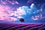 Fototapeta Lawenda - lavender field and sky
