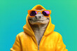 A cool crocodile in a yellow hoodie and glasses looks at the camera. The concept of creative style and fun. Generated AI.