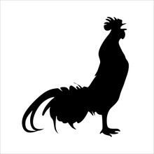 Silhouette Of A Rooster