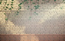 Animated Background Of Brick Wall And Leaves
