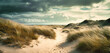 an infinity view of a beach with colorful dune grasses