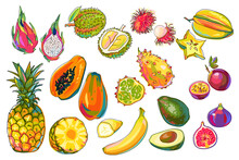 Set Of Exotic Fruits Isolated. Pineapple, Fig, Papaya, Banana, Rambutan, Kiwano, Passion Fruit, Avocado, Pitaya, Durian, Carambola. Colorful Tropical Fruits In Cartoon Style On White. Vector.