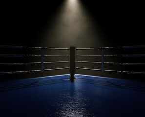 Wall Mural - Boxing Ring Spotlight Corner