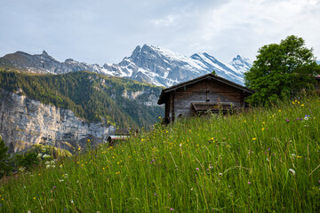 Wooden shed or log cabin in the Swiss Alps. Sunny summer day, no people, snowy mountain range in the background