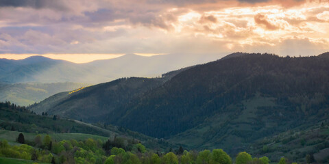 Wall Mural - scenery with hills and meadows on a cloudy evening in spring. mountainous rural area of ukraine. stu
