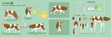 Brown Cow Ready To Animate With Multiple Poses Accessories. Vector File Labeled Ready To Rig. Milking Cow, Cow Walking, Standing, Front, Side Views Sitting, Farm Animals For Animation