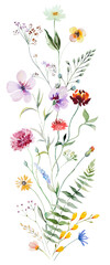 Wall Mural - Bouquet made of watercolor wild flowers and leaves, summer wedding and greeting illustration