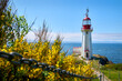 © maxdigi - Sheringham Point Lighthouse Vancouver Island Seascape. Sheringham Point lighthouse on Vancouver Island overlooking the Strait of Juan de Fuca.