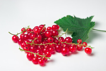 Poster - Red currant isolated on white background