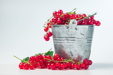 Poster - Red currant isolated on white background