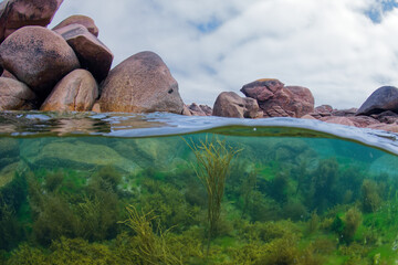 paysage aquatique et sous marin de la côte de granit rose à ploumanach