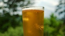 Close Up Of Foam Beer In Glass After Pour From Bottle At Outdoor. Alcohol Beverage With Yellow Color, Air Bubble And Beautiful Summer Nature Background. Look Fresh And Cool For Drink. Slow Motion