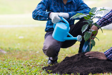 Farmers plant seedlings into fertile soil, nature care cooperation.