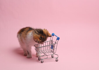 Wall Mural - Little cute kitten with a supermarket trolley on a pink background. Humor, shopping concept, sale, discounts