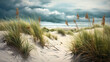 Sand dunes and beach grass in summer. Generative ai