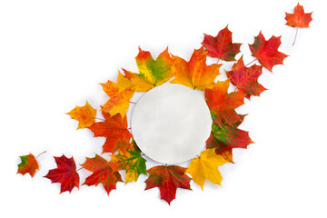 Wall Mural - autumnal colorful maple leaves with white paper card note with space for text on white background. t
