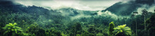 Foggy Landscape In The Jungle. Fog And Cloud Mountain Tropic Valley Landscape. Aerial View, Wide Misty Panorama	