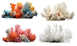 Fototapeta Do akwarium - Set of sea coral, coral reef on the transparent background PNG. Top view. AI generative.