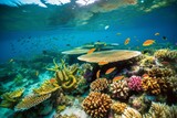 Fototapeta Do akwarium - Coral reefs on the seabed. AI generated, human enhanced.