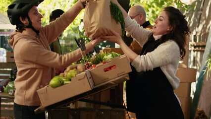 Wall Mural - Small business owner giving food order to delivery woman, working on delivering organic fresh produce from garden. Female farmer talking to courier on bike, deliver healthy eco products.