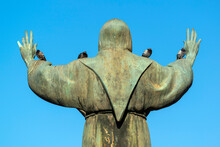 Pigeons Posés Sur Une Statue