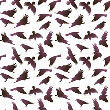 Vector Seamless Pattern With Flying Gradient Crows On A White Background. Mystical Background With Birds In The Halloween Theme. Purple Birds, For Printing On Textiles And Paper