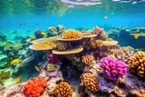 Fototapeta Do akwarium - a coral reef with colorful fish swimming in the water