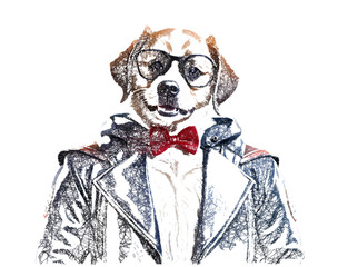 Wall Mural - Portrait of a dog wearing a leather jacket. Anthropomorphic dog. Scribble sketch. Linear Vector illustration.