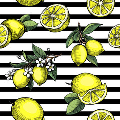 Wall Mural - Fresh yellow fruits of yellow lemons with green leaves. Seamless citrus texture on a striped background. Hand drawn. Black line. Vector