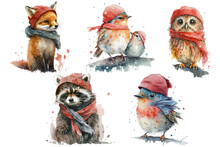 Safari Animal Set Fox, Raccoon And Birds Like An Owl In A Red Scarf And Hat In Watercolor Style. Isolated . Generative AI