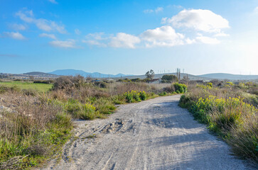 Wall Mural - country dirt road in the farming lands around Alacati (Cesme, Izmir province, Turkiye)	