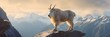 A mountain goat standing on top of a rock. Generative AI image.