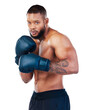 Black man, boxer with sports and exercise in portrait, martial arts and training isolated on transparent png background. Serious male athlete boxing, start fight with gloves and strong person