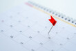 Embroidered red pins on a calendar event Planner calendar, planning for business meeting or travel planning concept.