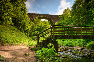 Wall Mural - causey arch footbridge and burn. causey arch country park consists of a deep ravine with woodland an