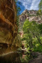 canyon in the mountains