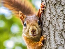 Upside Down Squirrel: Closeup Of Gripping Claws - AI Generated