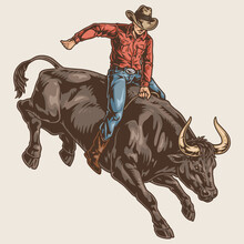 Rodeo Bull Colorful Vintage Logotype