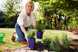 Fototapeta Lawenda - Adult woman planning garden arrangement working in backyard