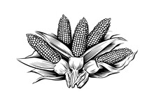 Heap Of Corn Hand Drawing Sketch Vintage Engraving Vector Illustration