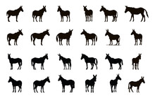 Donkey Silhouettes Set Various Poses And Position
