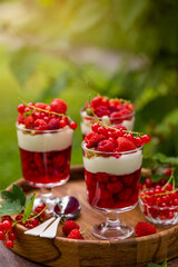 Canvas Print - summer mixed red  berries jelly and vanilla cream dessert