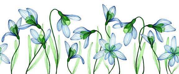 watercolor drawing. seamless border, frame of transparent flowers. spring blue flowers on a white background, x-ray