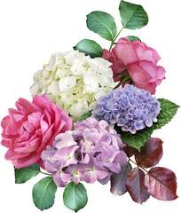Wall Mural - Hydrangea and pink roses isolated on a transparent background. Png file.  Floral arrangement, bouquet of garden flowers. Can be used for invitations, greeting, wedding card.