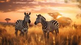 Fototapeta Sawanna - Amazing african zebras at sunset concept Generative AI